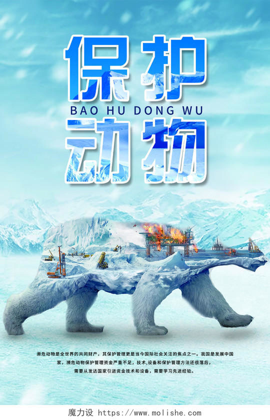 公益世界动物日保护动物爱护自然北极熊白色动物海报